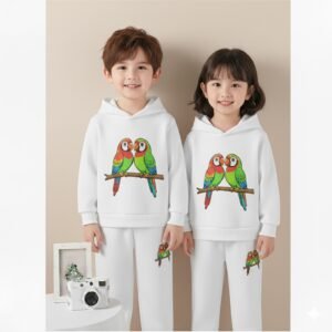 আকর্ষণীয় রঙ এবং আরামদায়ক কাপড়ের প্রিমিয়াম হুডি সেট।