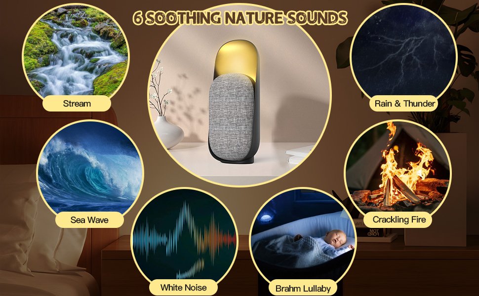 1cf9570a-96e7-463f-a37a-a6b75971ffbb.__CR0,0,970,600_PT0_SX970_V1___